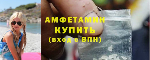 ПСИЛОЦИБИНОВЫЕ ГРИБЫ Инсар