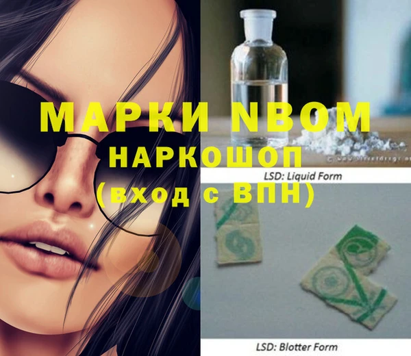 ПСИЛОЦИБИНОВЫЕ ГРИБЫ Инсар