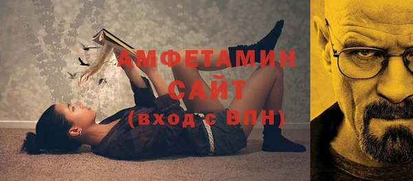 ПСИЛОЦИБИНОВЫЕ ГРИБЫ Инсар